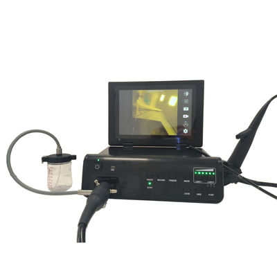 購入 TUYOU 工場 柔軟 ガストロスコップ コロノスコップ エンドスコップ ペットの胃腸診断のためのカメラシステム オンライン製造