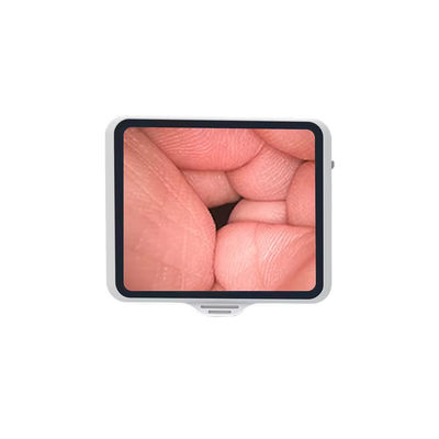 購入 I級 TUYOU 3.5インチスクリーンで柔軟な内視鏡 光ファイバーブロンコスコピーズームのために再利用可能 オンライン製造