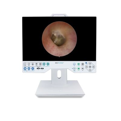 購入 工場設計 15 インチ FHD カメラシステム 収録対応 柔軟性 硬度 エンドスコップ オンライン製造