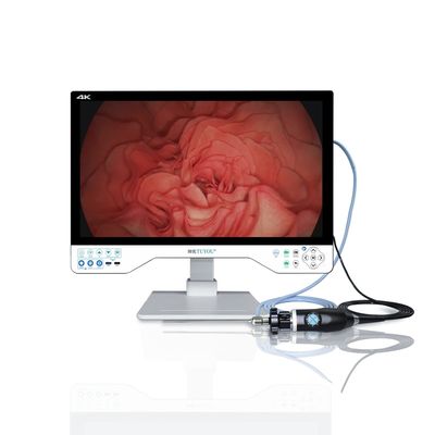 購入 24インチ 4K エンドスコピーカメラ 総合光源とディスプレイ オンライン製造
