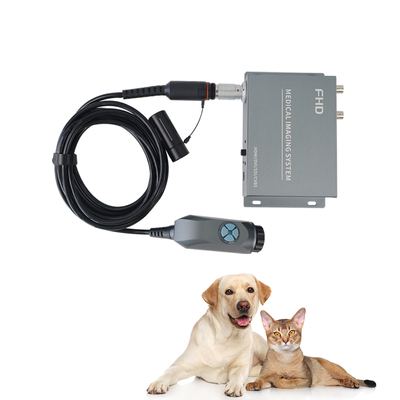 購入 Tuyou 4ポート 1080P 内視鏡コンバーターボックス ポータブル医療用イメージング ENT ペット腹腔鏡 オンライン製造
