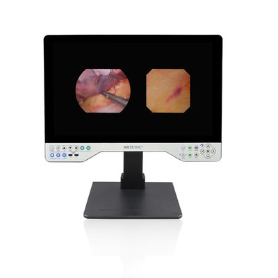 1080P フルHD内視鏡システム 頑丈で柔軟 24インチ オールインワンビデオレコーダーカメラ