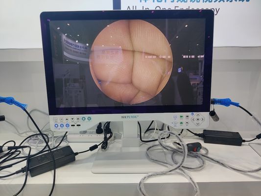 名前